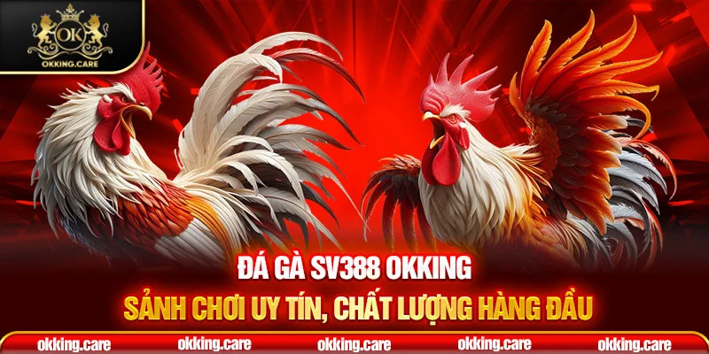 đá gà sv388